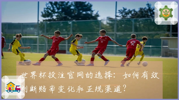 世界杯投注官网的选择：如何有效判断赔率变化和正规渠道？