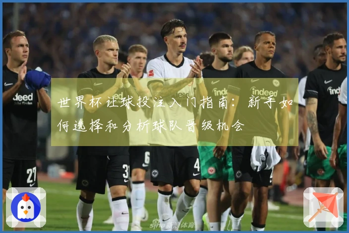 世界杯让球投注入门指南：新手如何选择和分析球队晋级机会