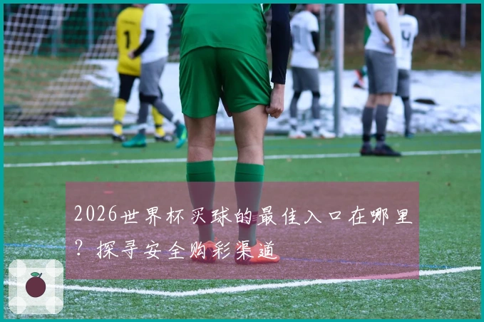 2026世界杯买球的最佳入口在哪里？探寻安全购彩渠道
