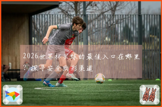 2026世界杯买球的最佳入口在哪里？探寻安全购彩渠道