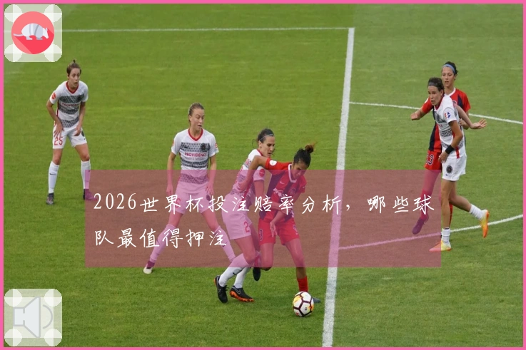 2026世界杯投注赔率分析，哪些球队最值得押注