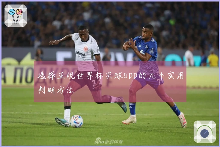 选择正规世界杯买球app的几个实用判断方法