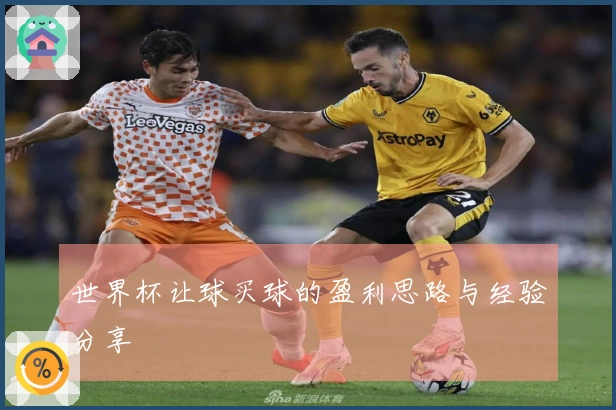 世界杯让球买球的盈利思路与经验分享